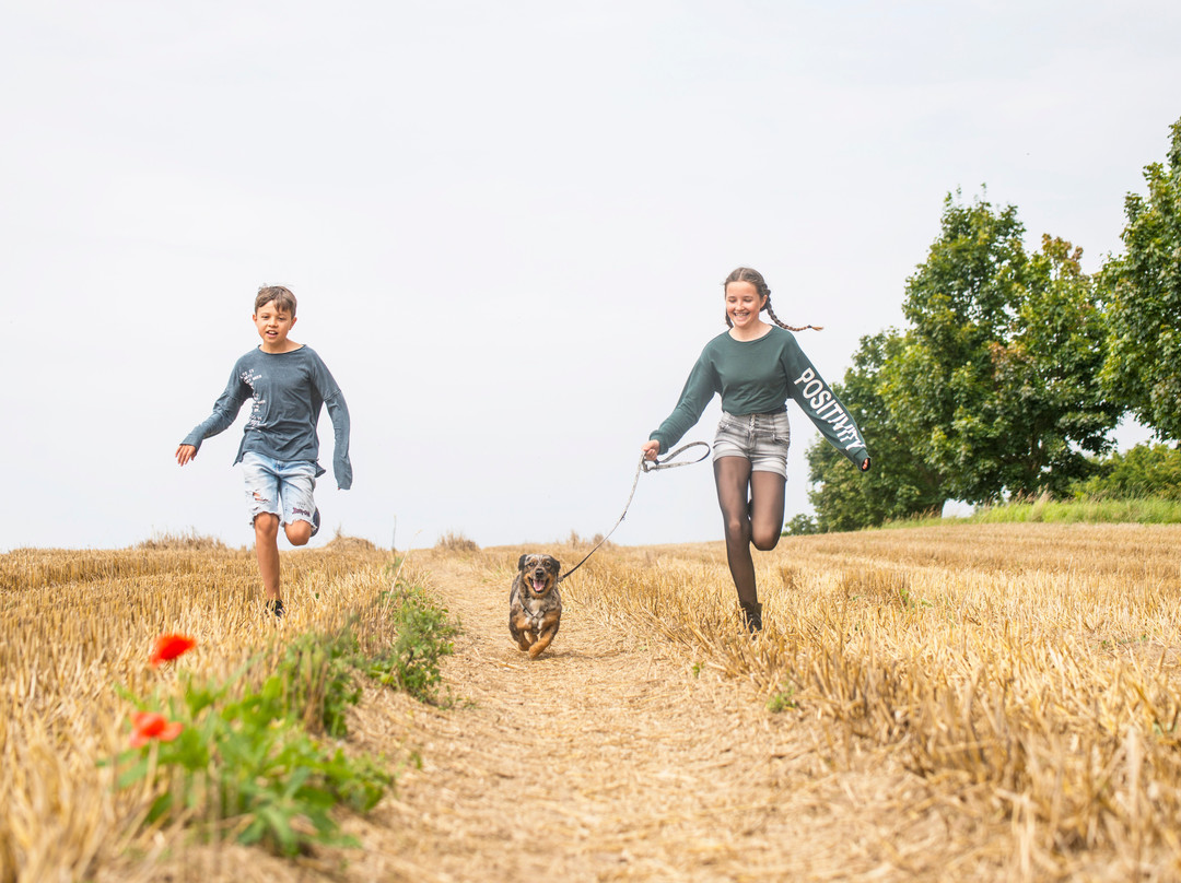 Bauer Korl's Golchener Hof主图