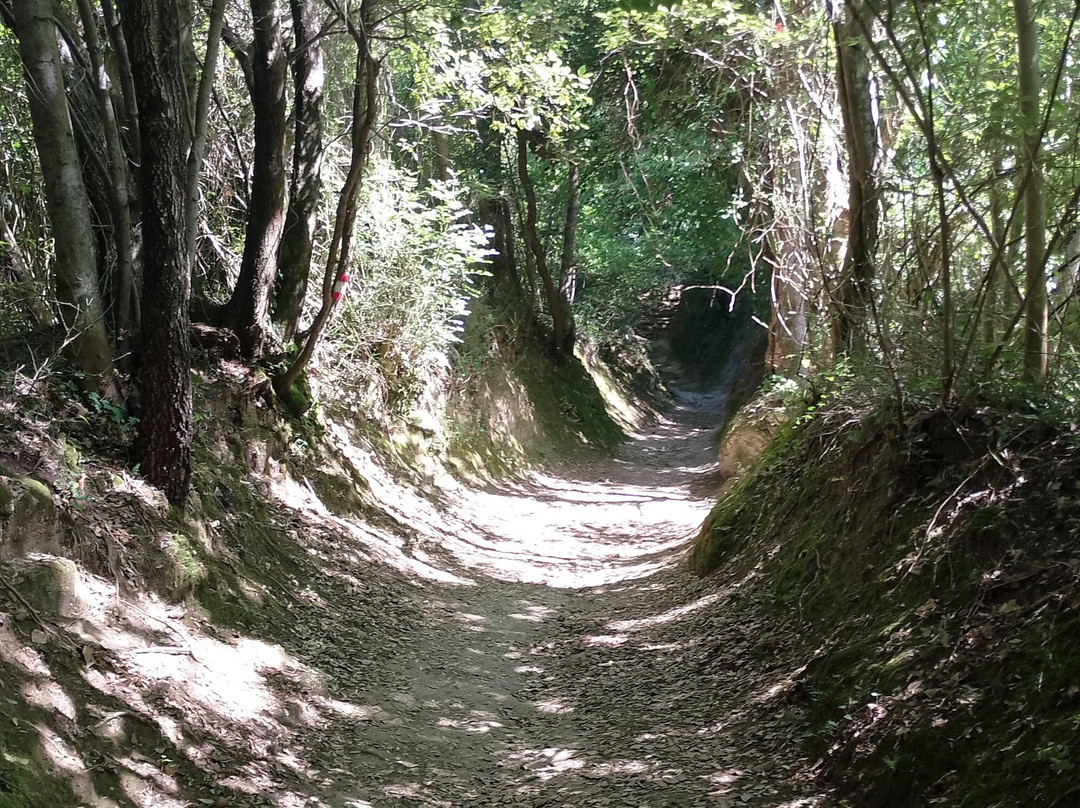 Le Cascate del Menotre-福利尼奥必去景点