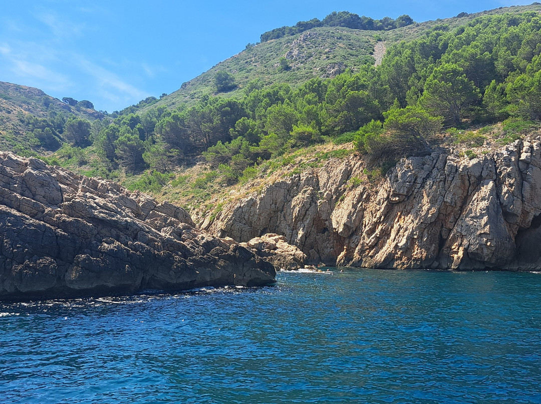 Cap-Sur-Saint-Cyprien-Plage必去景点