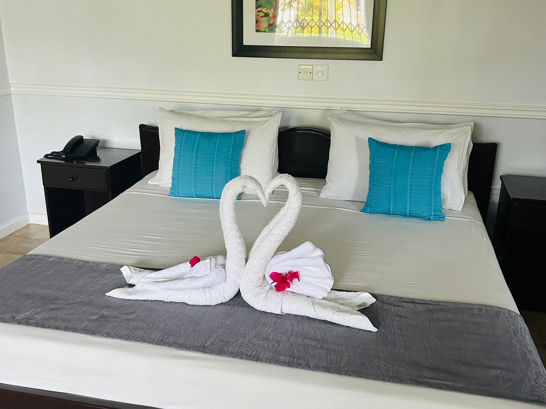 Hotel la Roussette主图