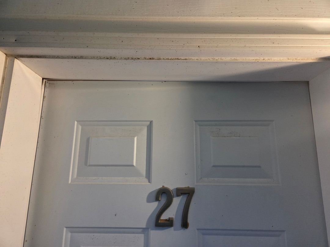 Coach House Inn主图