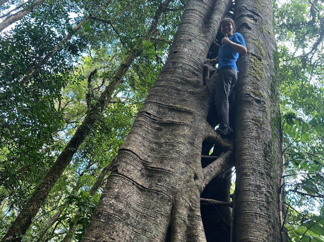 Tamblingan Jungle Trek And Lake Canoe Expedition-Buleleng必去景点