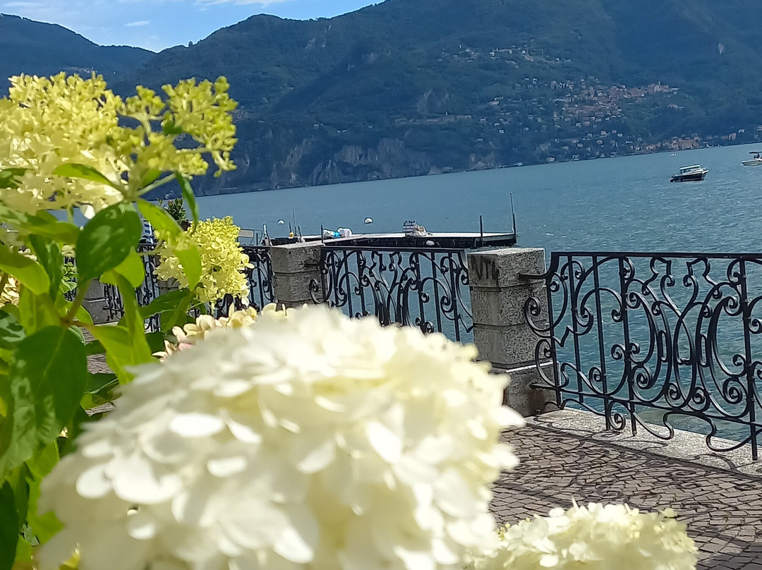 Lungolago Di Menaggio-梅纳焦必去景点