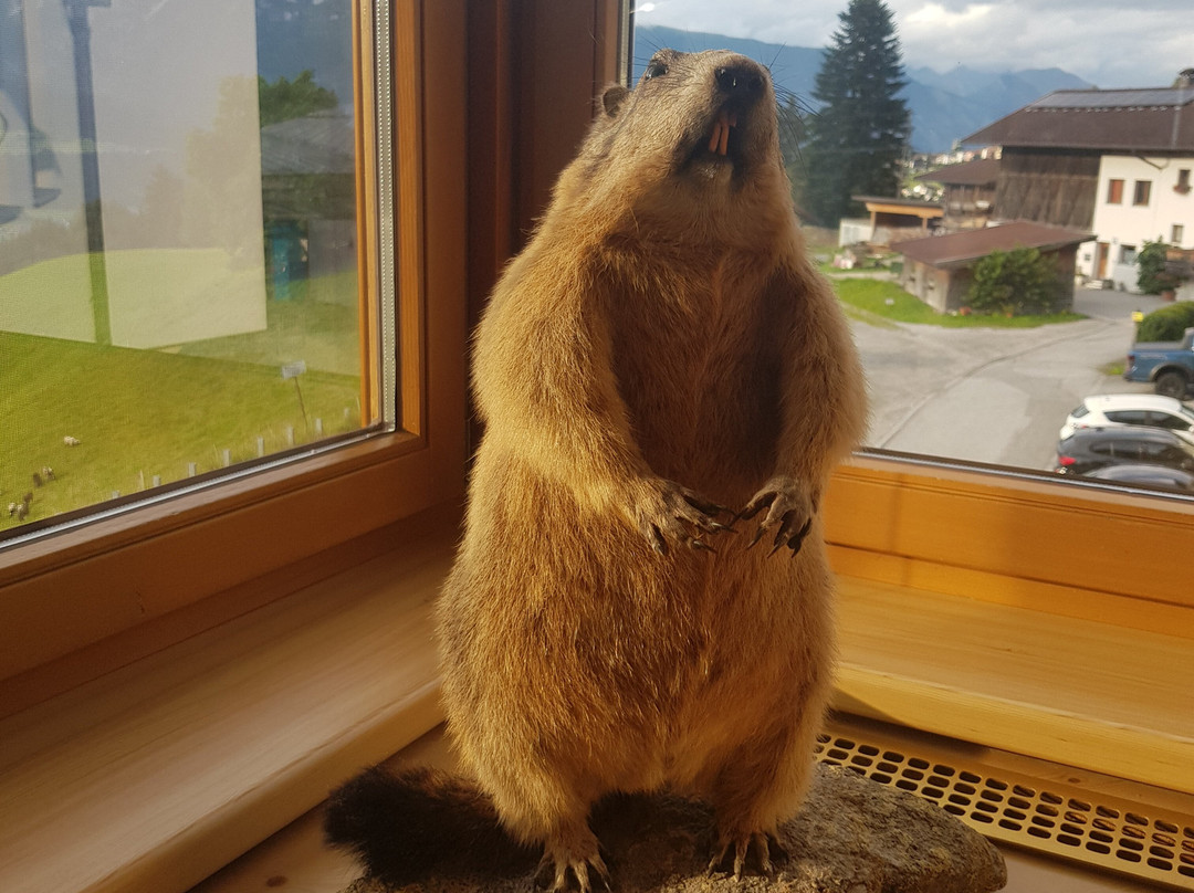 加格霍夫酒店主图