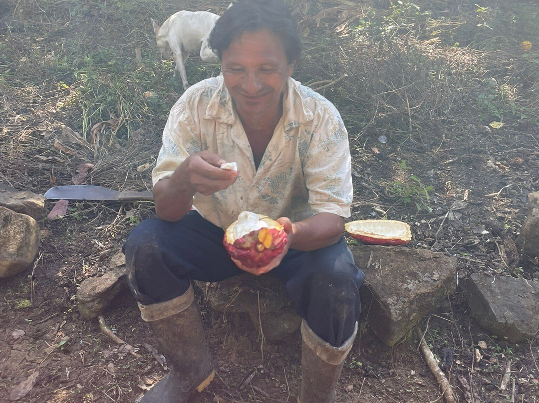 Sacharuna Adventure-Tarapoto必去景点