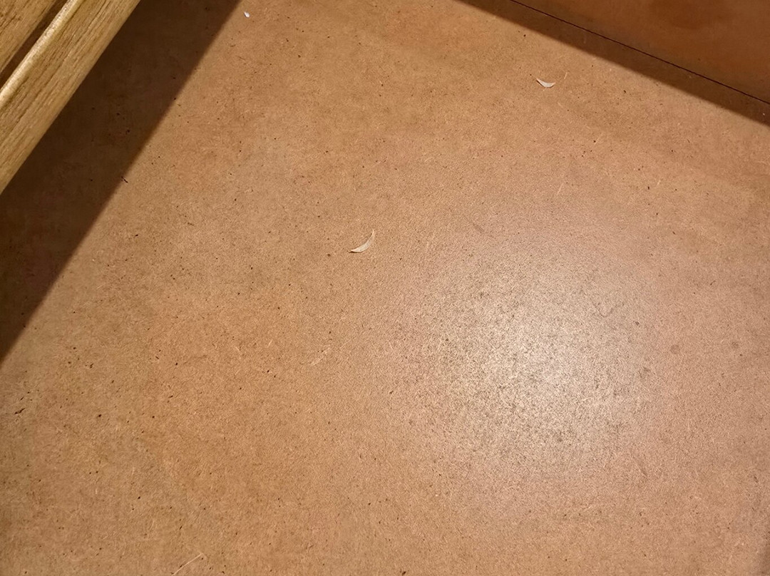 赛贝尔里斯等策查斯伍德酒店主图