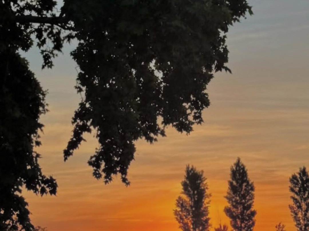 Palo Alto Polo Club-General Rodriguez必去景点