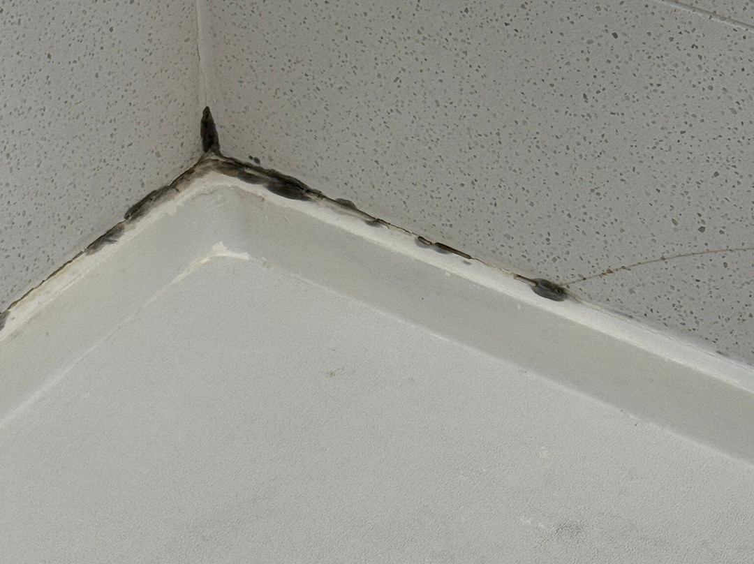 Best Western Plus Richmond Airport Hotel主图