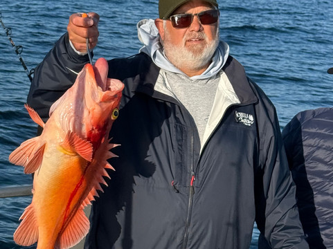 Puffin Fishing Charters-苏厄德必去景点