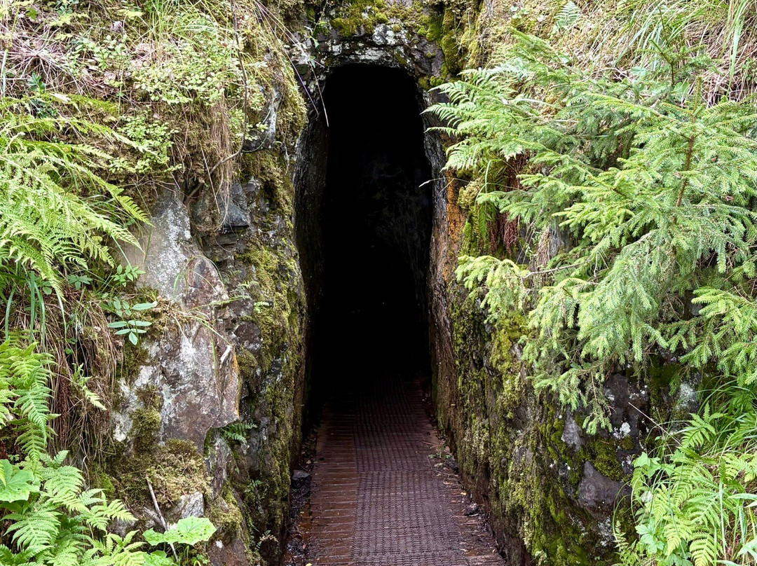 Högbergsfält naturreservat-Filipstad必去景点
