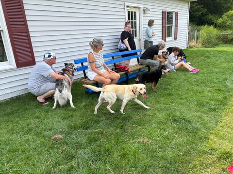 The Paw House Inn主图