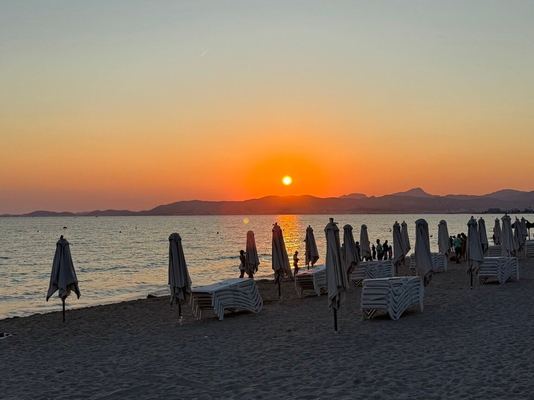 Platja de Palma-马洛卡帕尔马必去景点