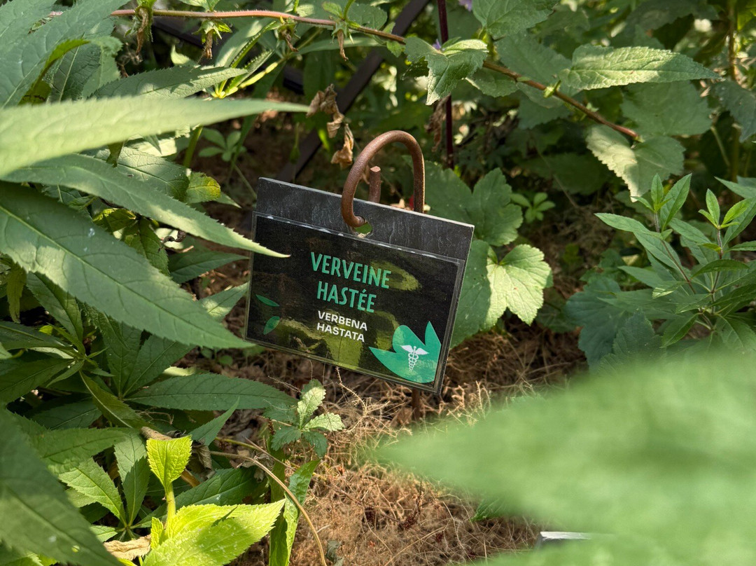 Les Jardins de Colette-Varetz必去景点