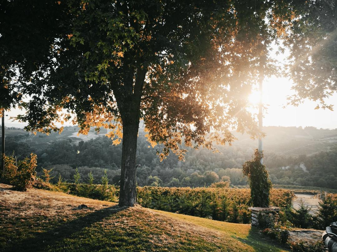 Agriturismo Bricco San Giovanni主图