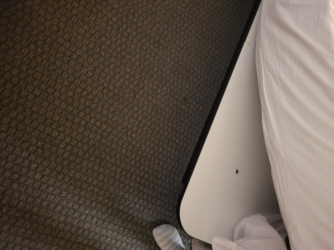 Shore Stay Suites主图