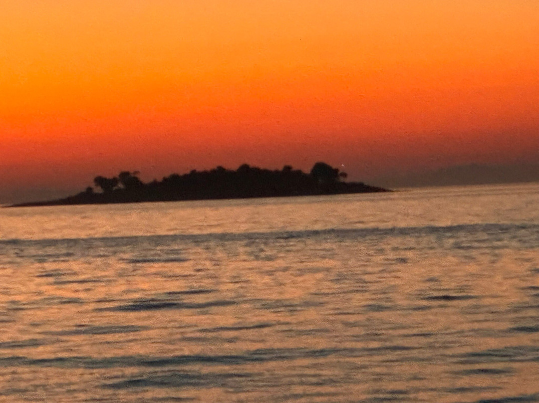 Excursions Mikela-弗萨必去景点