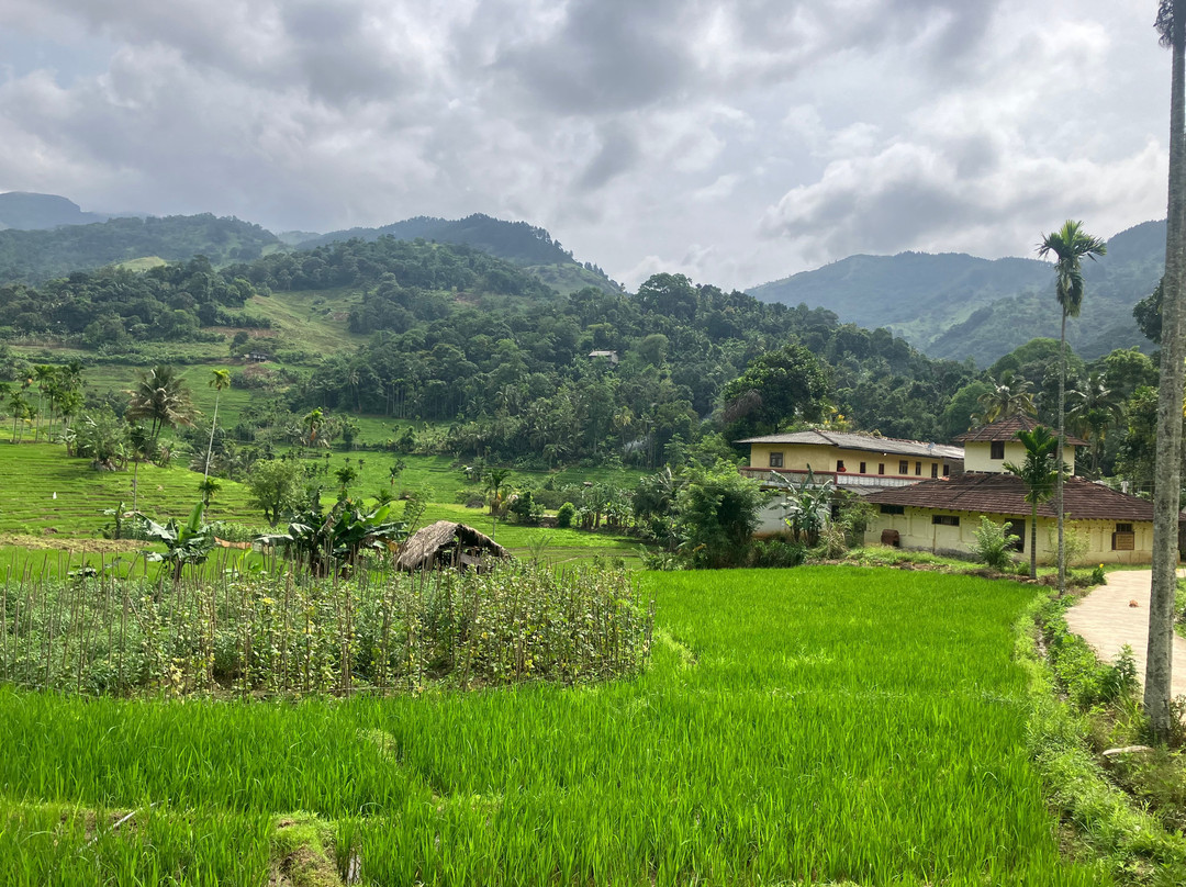 Nipuna Knuckles Trekking-康提必去景点