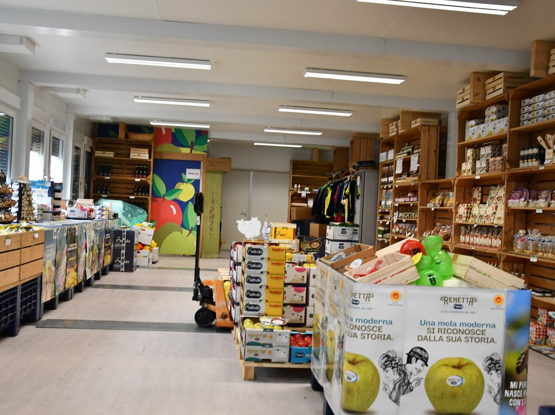 Golden Theatre - MondoMelinda-Predaia必去景点