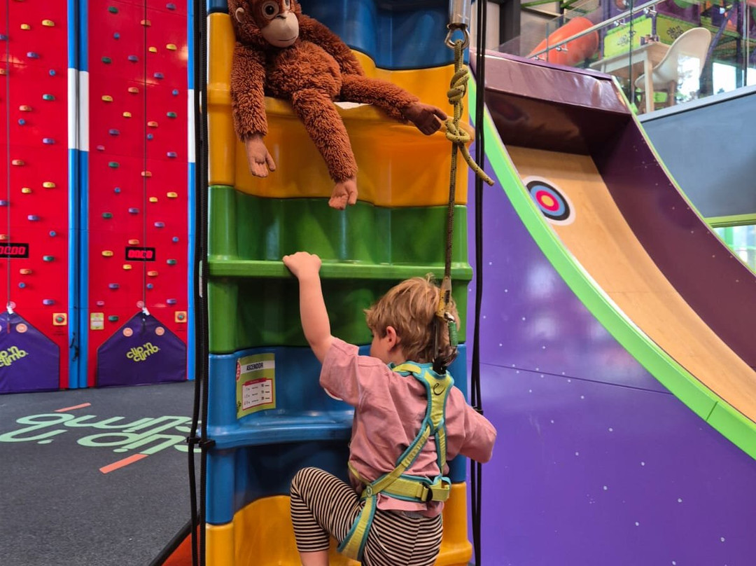 Clip 'n Climb Ipswich-伊普斯威奇必去景点