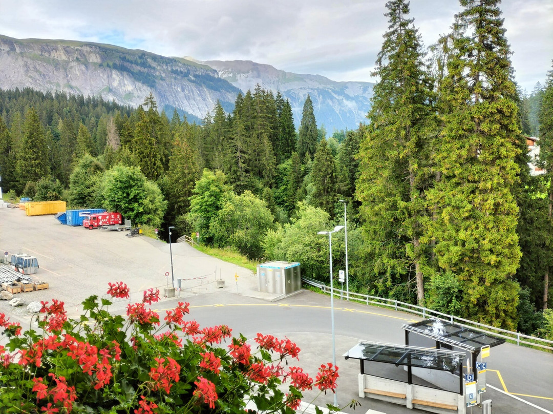 Hotel Laaxerhof主图