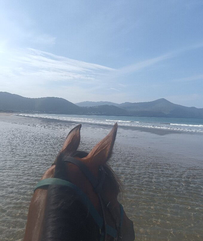 Rossbeigh Beach Horse Riding Centre-Glenbeigh必去景点