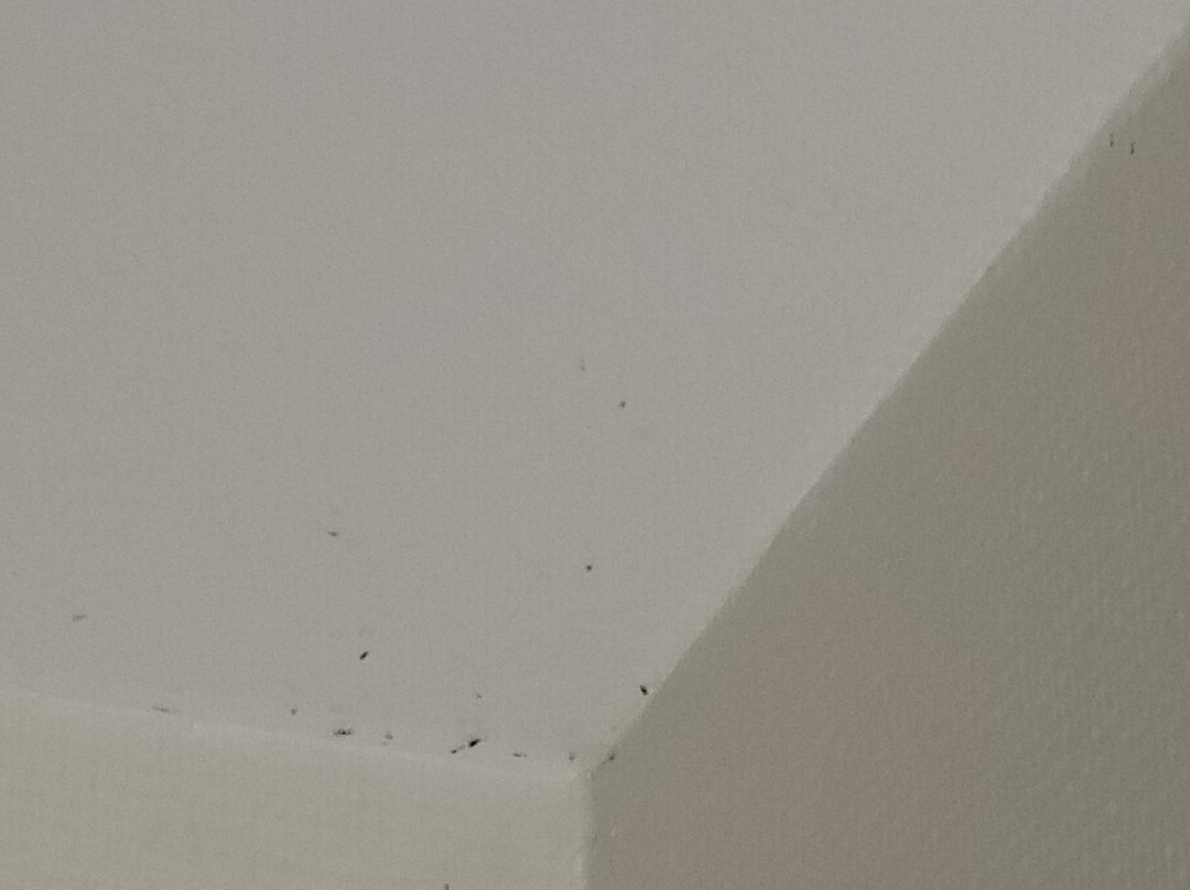 Hotel Le Boischaut主图