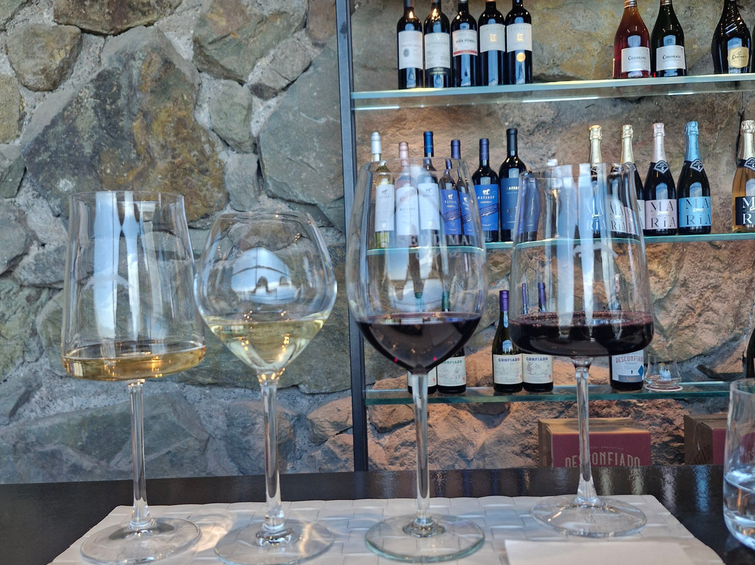 Bodega Septima-路冉得库约必去景点