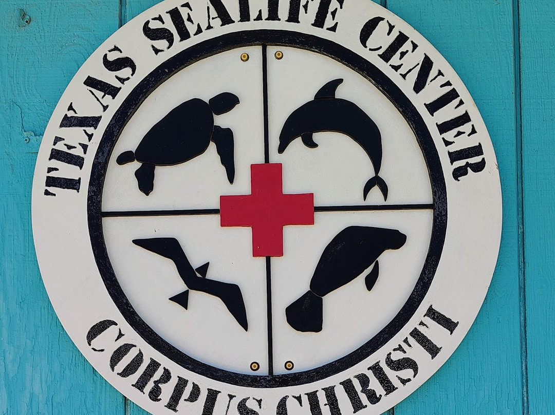 Texas Sealife Center-科珀斯克里斯蒂市必去景点