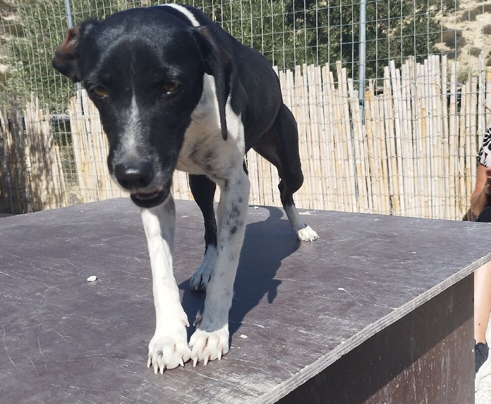 Takis Shelter-Ierapetra必去景点