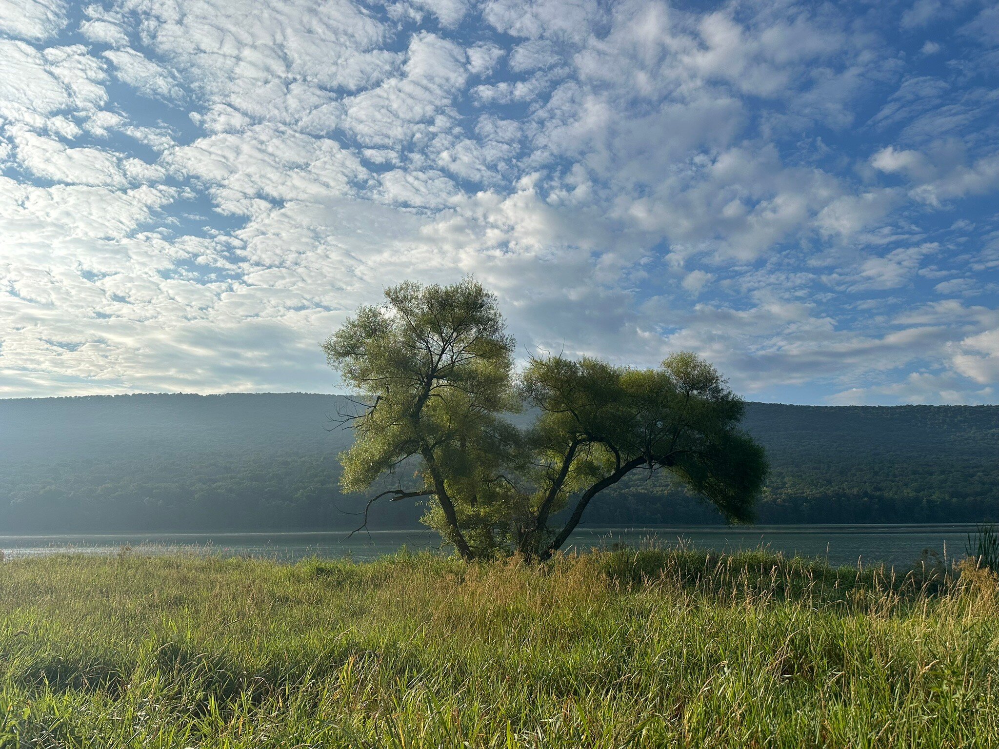 Nature Inn at Bald Eagle-官方