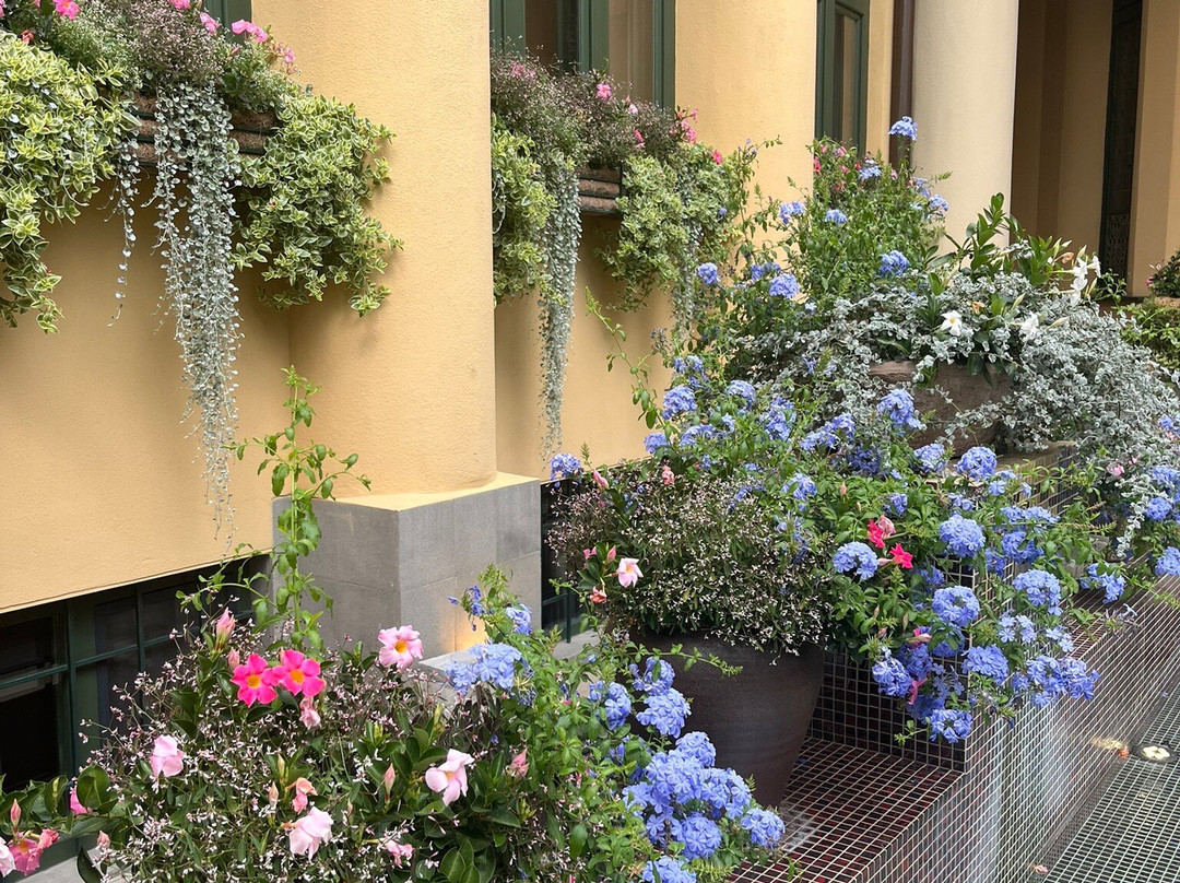 Darvas- La Roche House-拉迪亚必去景点