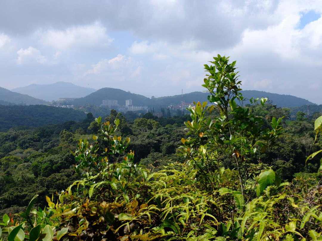 Bala's Holiday Chalet主图