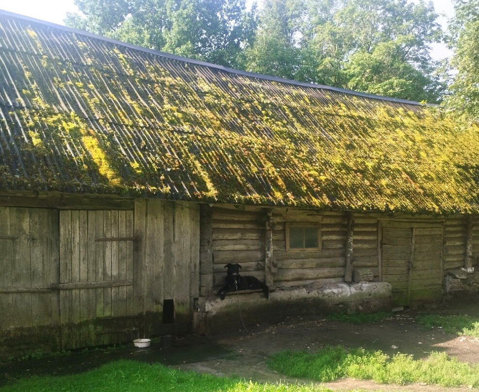 Roogoja Farm-Karla必去景点