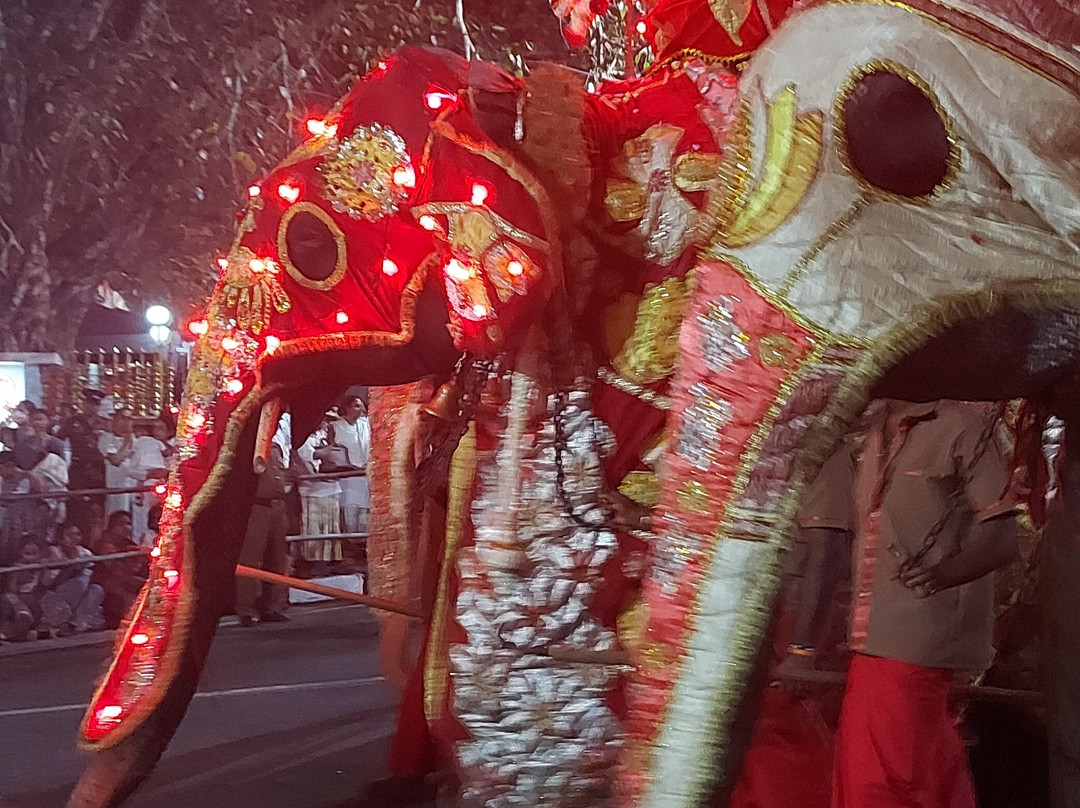 Piyara Tours-Kotugoda必去景点