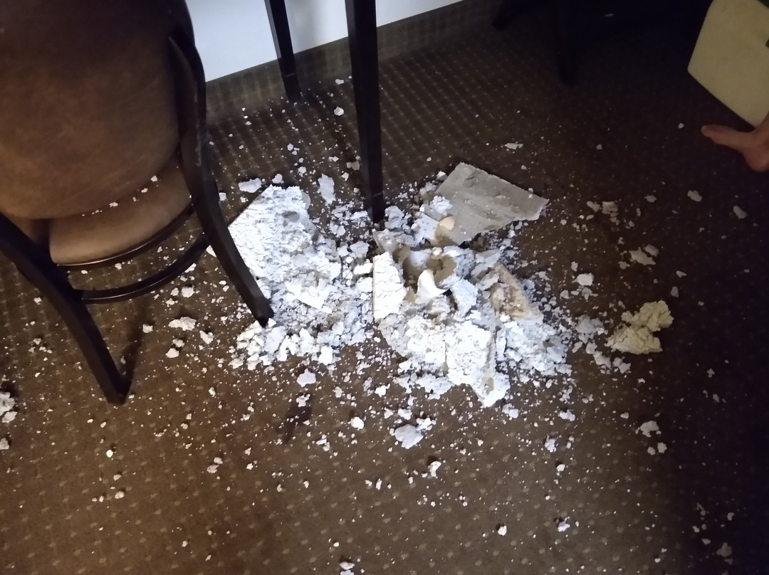 Everspring Inn主图