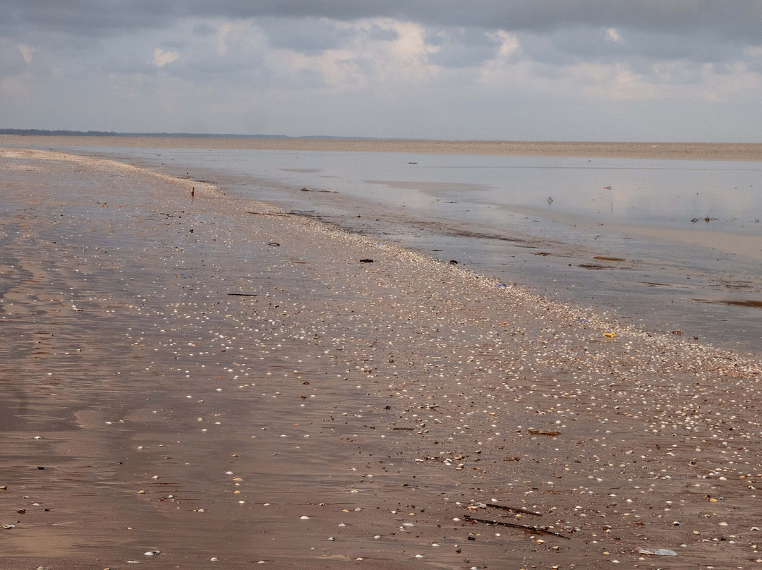 Dublagadi Sea Beach-Balasore必去景点