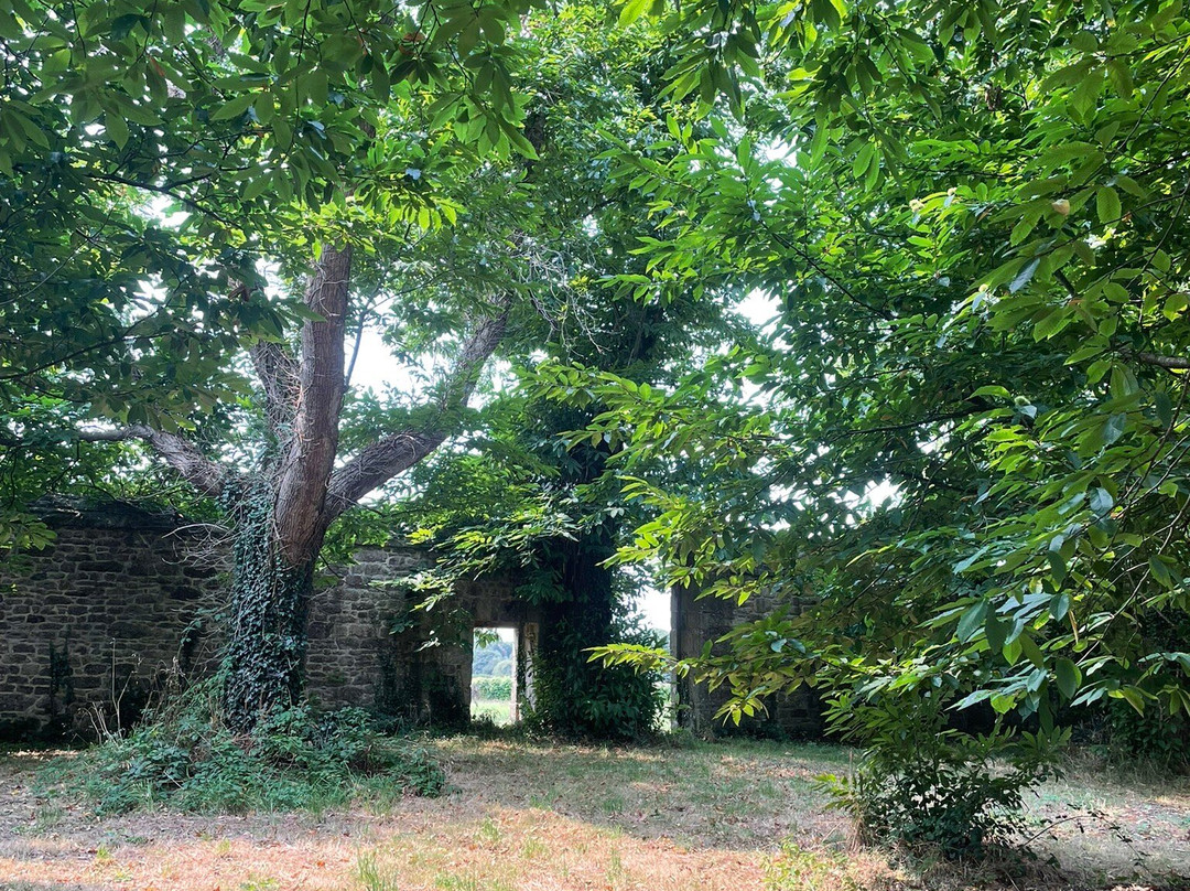 Le Château De Kerjean-Saint-Vougay必去景点