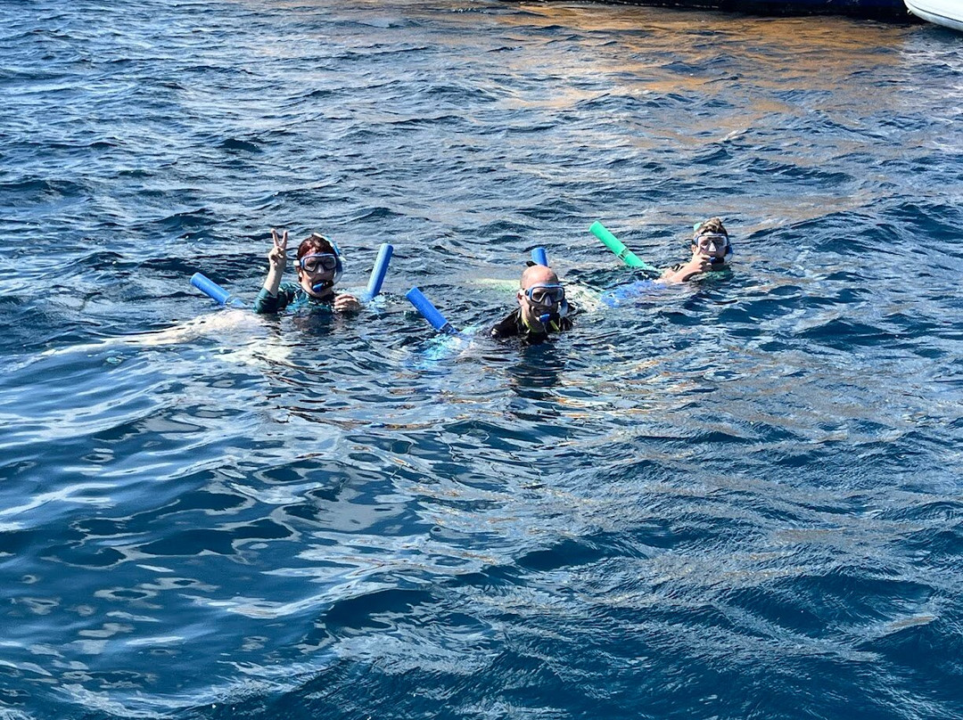 Private Snorkeling Aruba-棕榈/鹰海滩必去景点