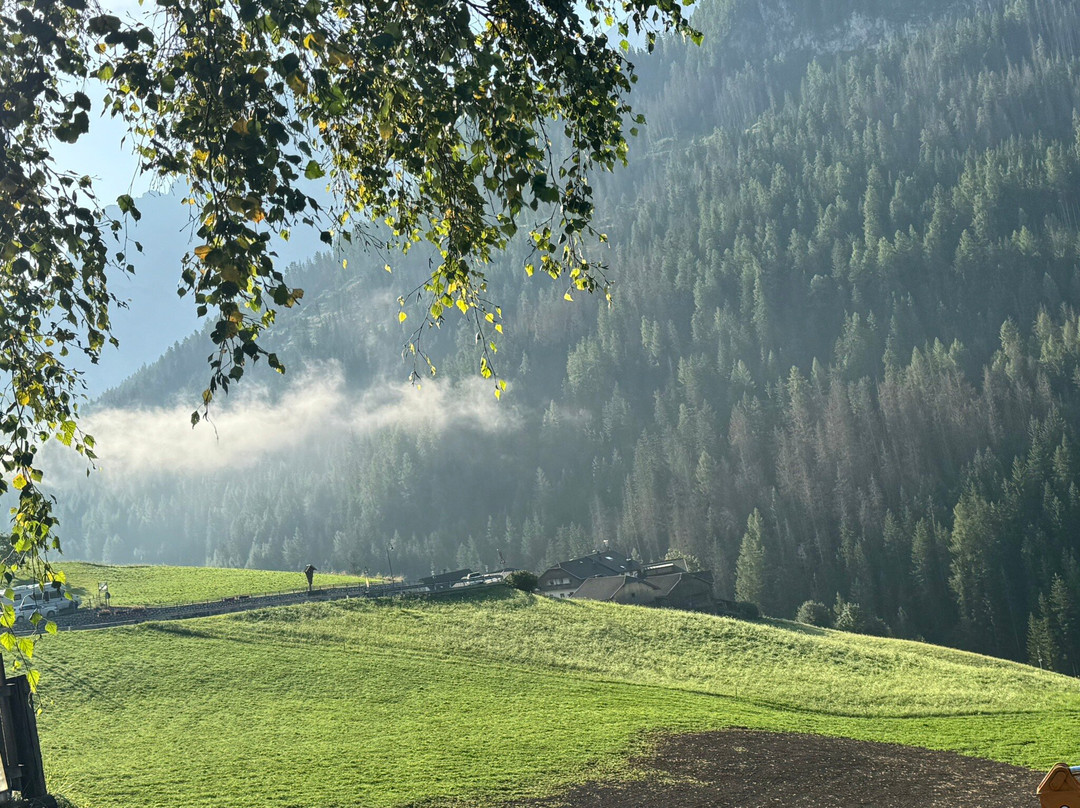 Hotel Chalet La Palsa主图