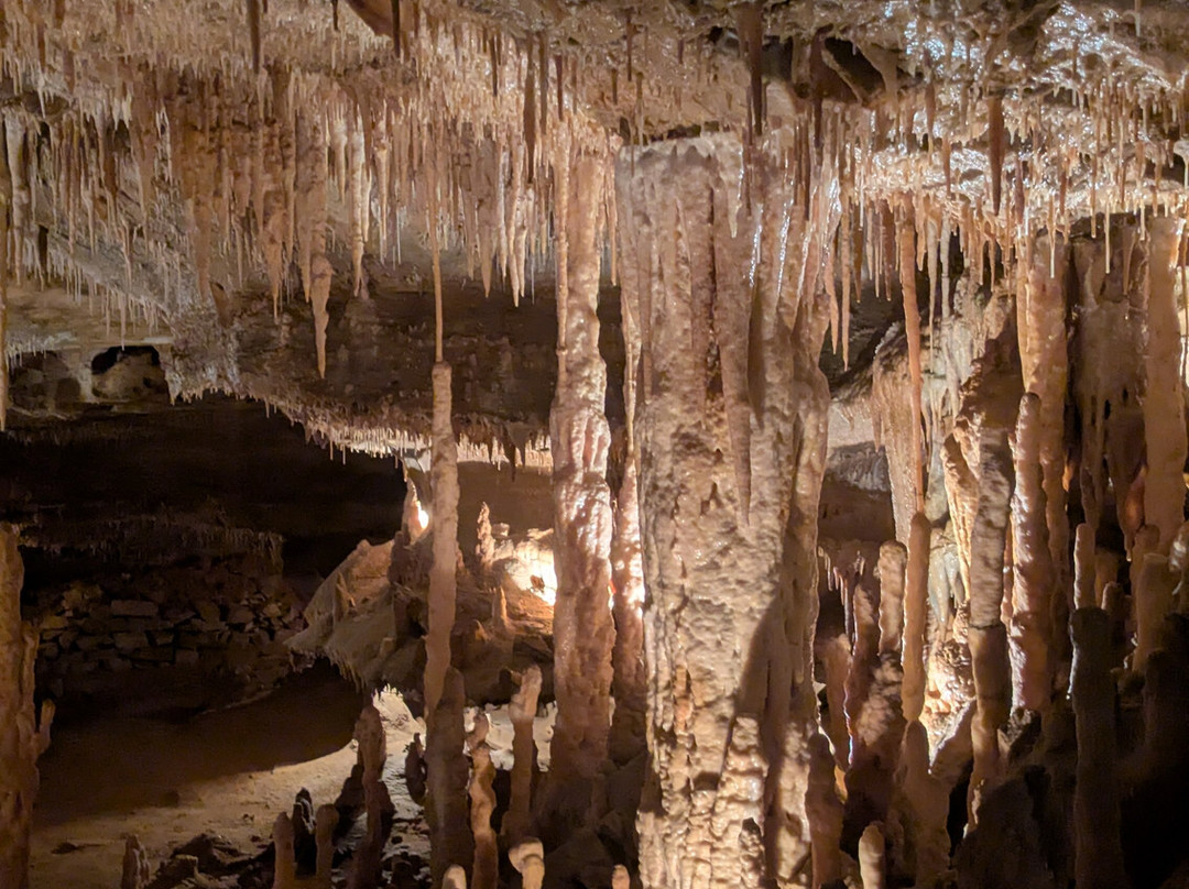 Grottes de Cougnac-Payrignac必去景点