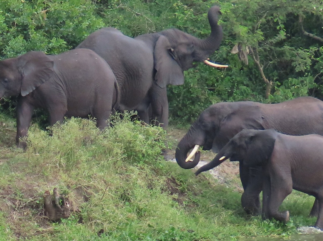 Bamboo Ecotours-坎帕拉必去景点