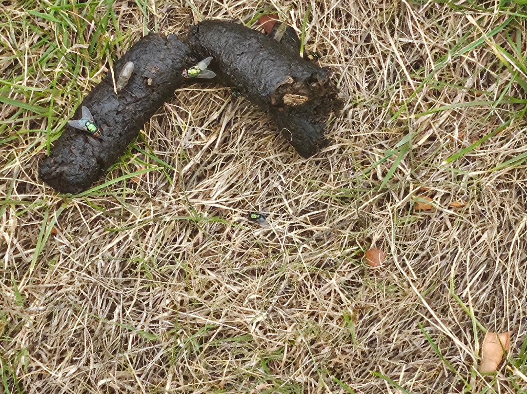 Blaby Golf Centre-Blaby必去景点