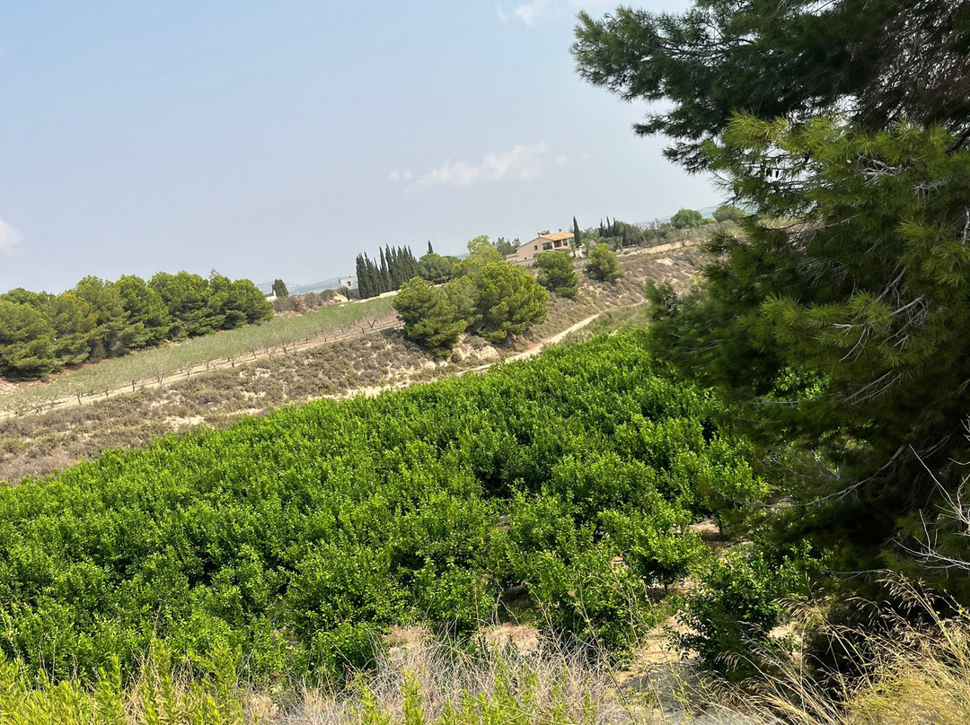 Hipica Gilillo-San Miguel de Salinas必去景点