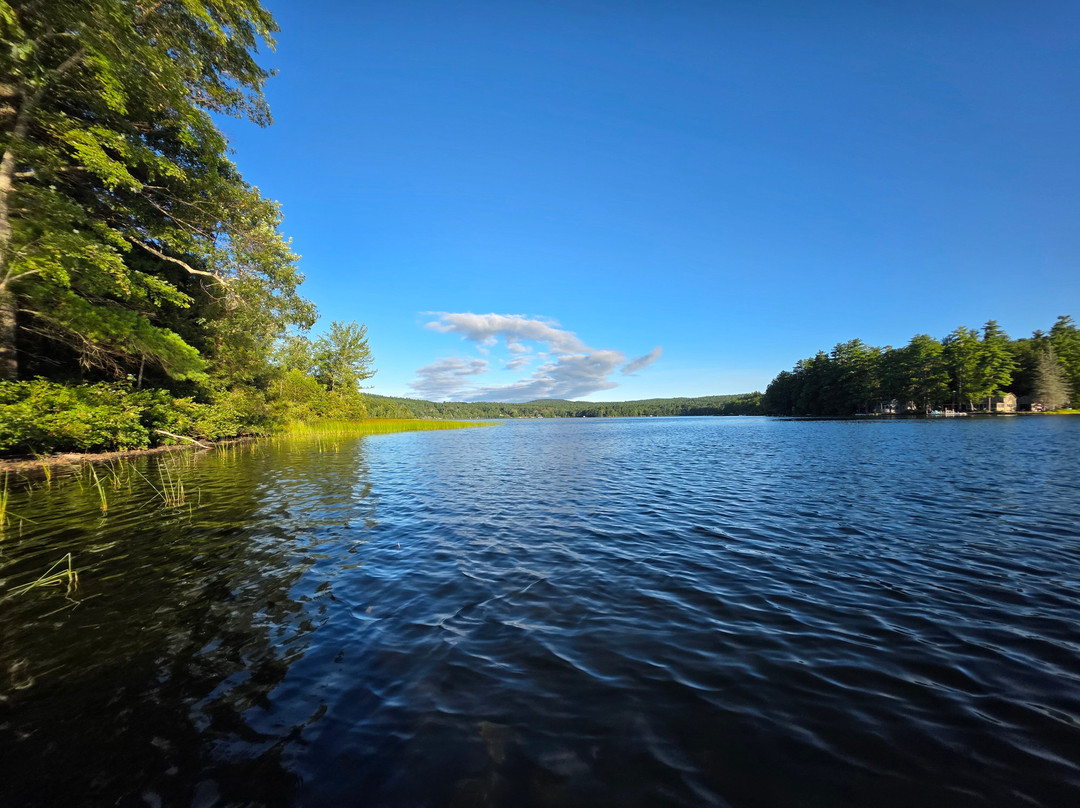 Lake Shore Farm主图