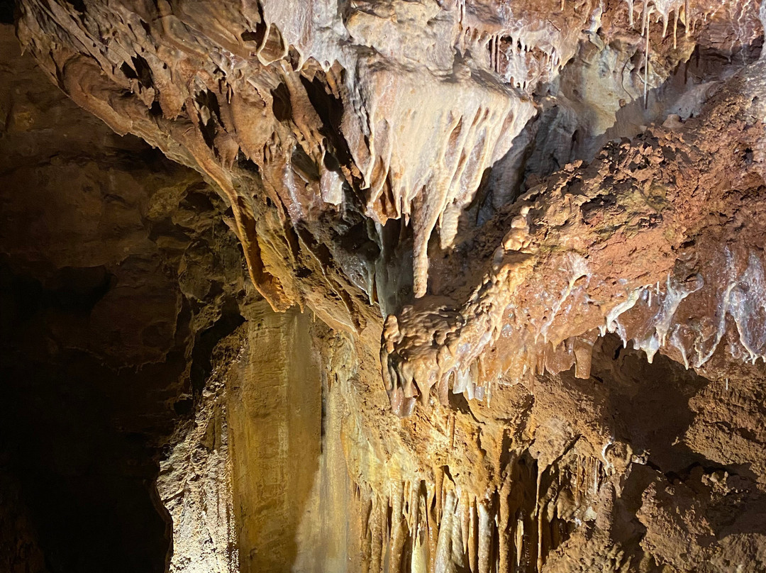 Grottes de Lacave-Lacave必去景点