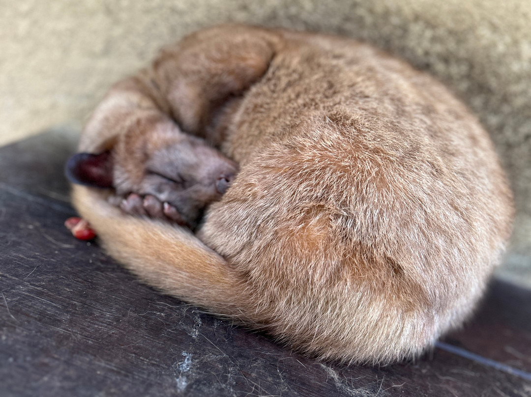 Team Bali Tour-努沙杜瓦必去景点