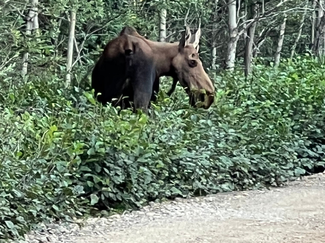 Black Diamond Resort Company-希利必去景点