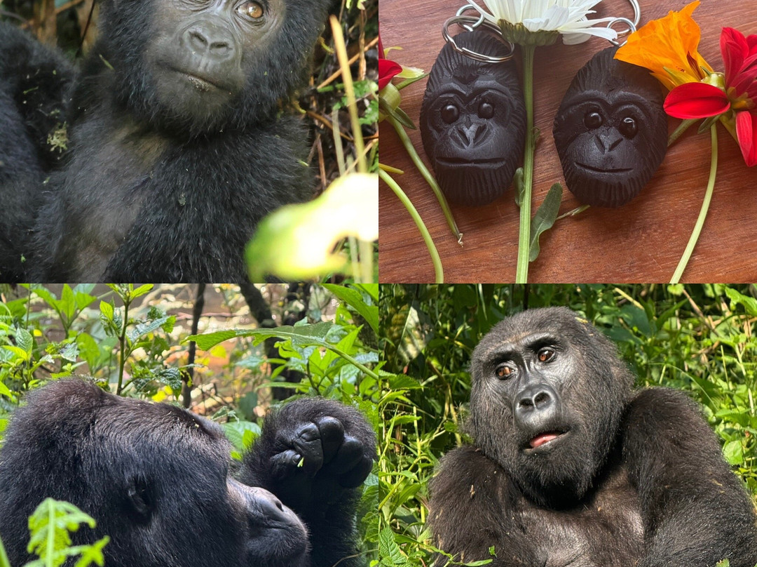 Designer Safari-内罗毕必去景点