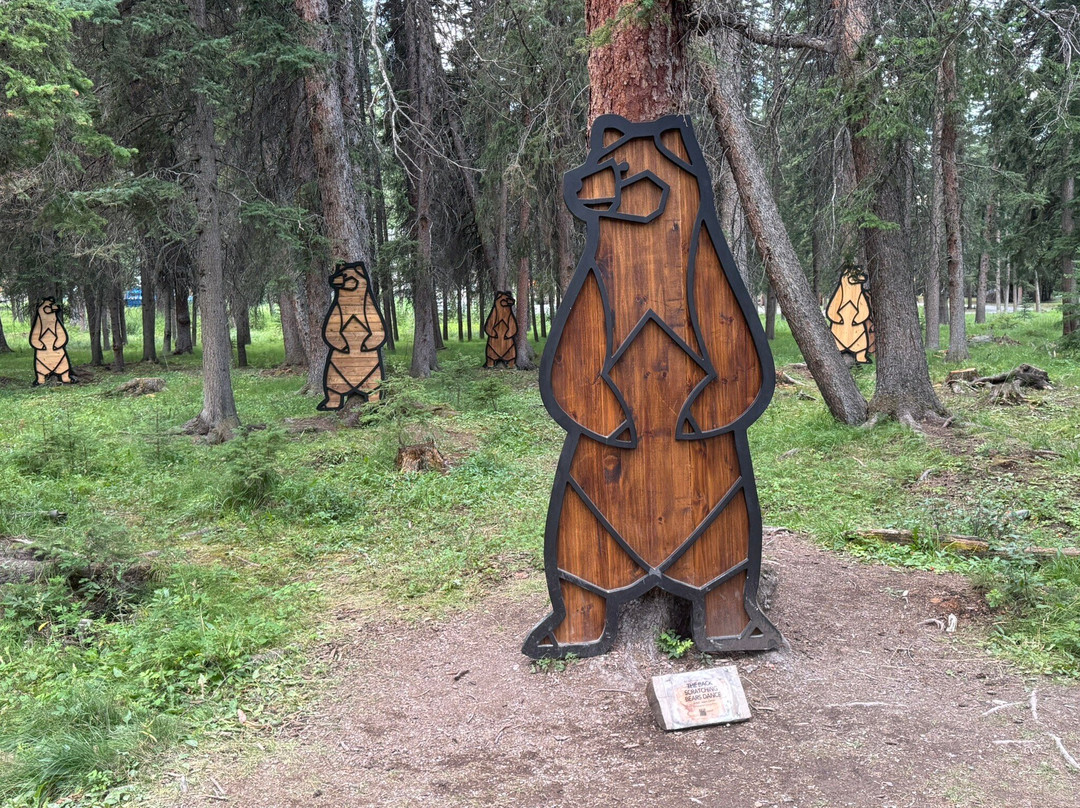 Bow River Trail-班夫必去景点