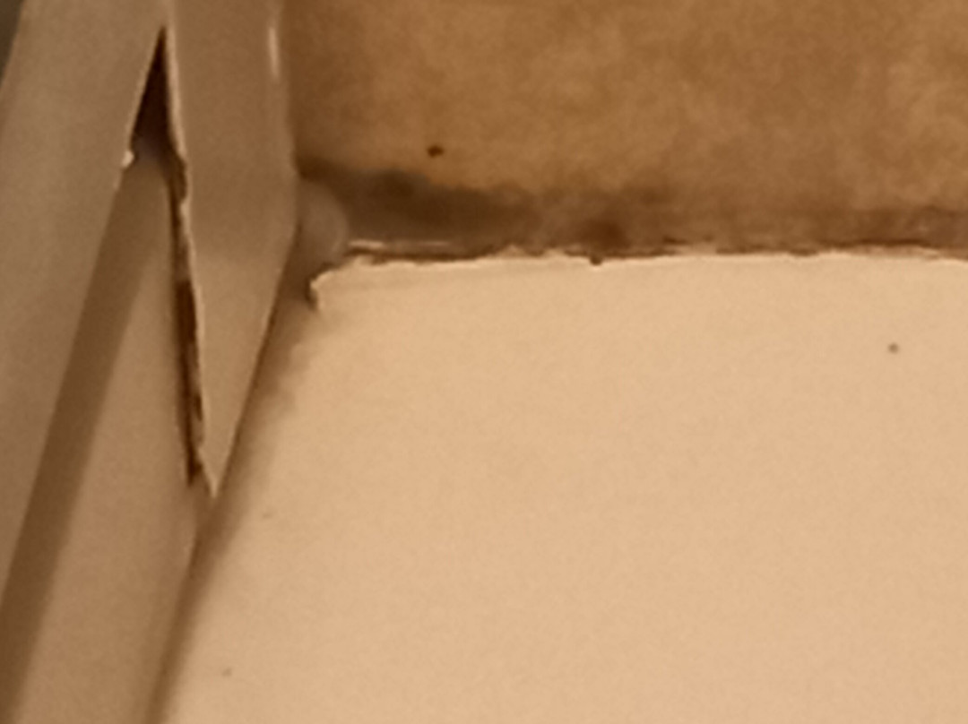 博尔戈安蒂科酒店主图